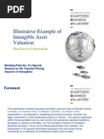 Illustrative Example of Intangible Asset Valuation: Shockwave Corporation