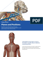 VisibleBody_Planes and Positions_2016.pdf