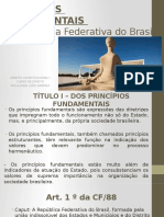 Principios Fundamentais