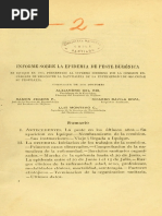 Informe Sobre La Peste Bubónica