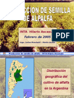 Alfalfa (1)