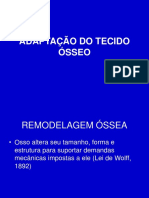 Adaptação_Tecido_Ósseo