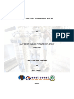 Fptfinal Report PDF