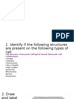 Cell Biology Quiz