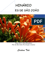 Cristina Tati - Flores de Sao Joao - Tablet.pdf