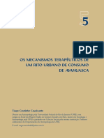 Os Mecanismos Terapêuticos de Um Rito Urbano de Consumo de Ayahuasca (Junguiano)