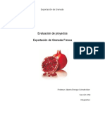 122264040-Word-Final-Estudio-de-Exportacion-de-Granada.docx
