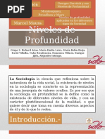 Niveles de Profundidad