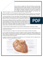 HISTOLOGIA 2 DISEC