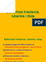 Bakterioze Krastavca PDF