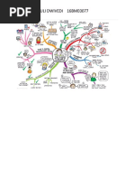 Chandramauli Dwivedi 16bme0077 MIND Maps