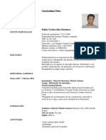 Curriculum Vitae