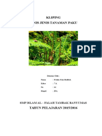 Download Jenis Jenis Tanaman Paku Dan Gambarnya by Roni Kurniawan SN344543916 doc pdf
