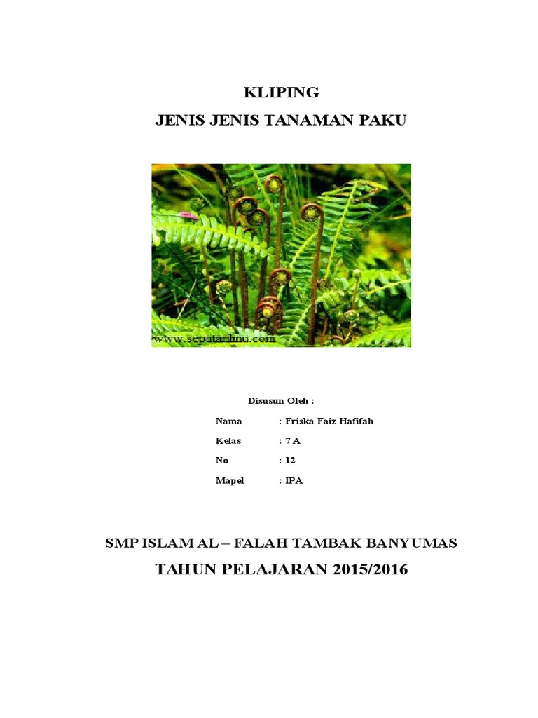 Jenis Jenis Tanaman Paku Dan Gambarnya Jenis Jenis Tanaman Paku Dan Gambarnya