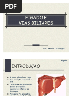 AULA 09. Fígado e Vias Biliares