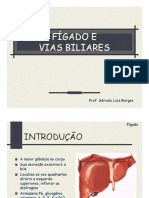 Anatomia e funções do fígado