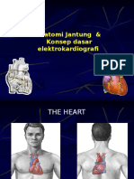 EKG 1 dasar