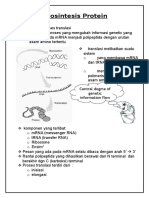 Biosintesis Protein