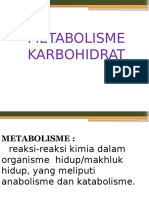 metabolismeKARBOHIDRAT2.pptx