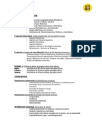 Modelo de Curriculum Electronica PDF