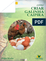 Guia Prático de Criação de Galinhas - Valdir Rocha.pdf