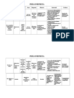 Plan de Ingrijire Pielonefrita