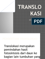 Translokasi