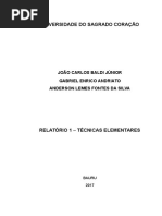Relatório Química Prática
