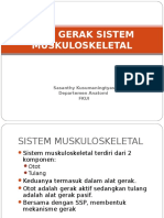 Anatomi Sistem Muskuloskeletal Oleh Bu Desy