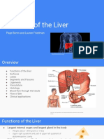 Anatomy of The Liver