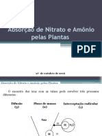 Absorção de Nitrato e Amônio Pelas Plantas