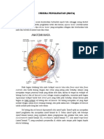 Indera Penglihatan 1