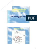 Ileus.pdf