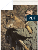 EL PAÍS - TIERRA - 21.07.07 - El lobo nunca mata por matar.pdf