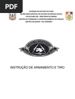 Armamento_PT40 PT100 e Carabina Magal.30