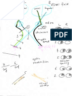 Lab 7-Drawings PDF