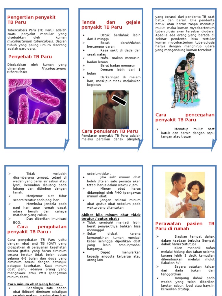157094069 Contoh Leaflet TBC