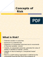 (WK 1) RM - Basic Concepts of Risk