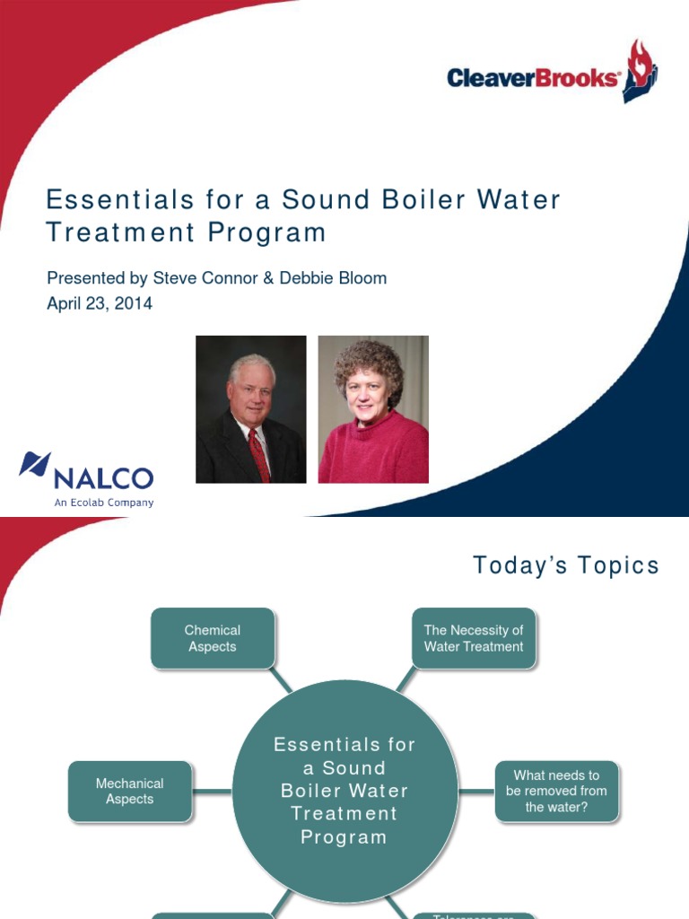 Boiler Water Treatment Essentials Guide | PDF | Ion Exchange | Magnesium