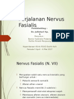 Perjalanan Nervus Fasialis