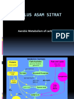 Siklus Asam Sitrat PDF