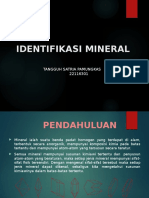 Identifikasi Tekstur Mineral