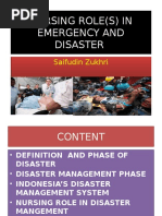 Understanding Disaster Nursing Principles | PDF | Emergency Management ...