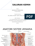Batu Saluran Kemih