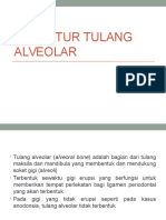 SCL - Struktur Tulang Alveolar