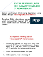 Teknologi Dna Rekombinan (PP)