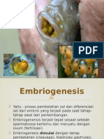 Perkembangan Embrio Ikan