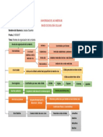 Niveles de Organizacion de La Materia