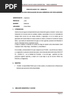Formato Anexo Nº 03 - Modelo b