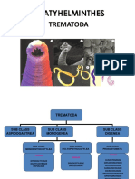 Parasitologi Dasar Veteriner TREMATODA